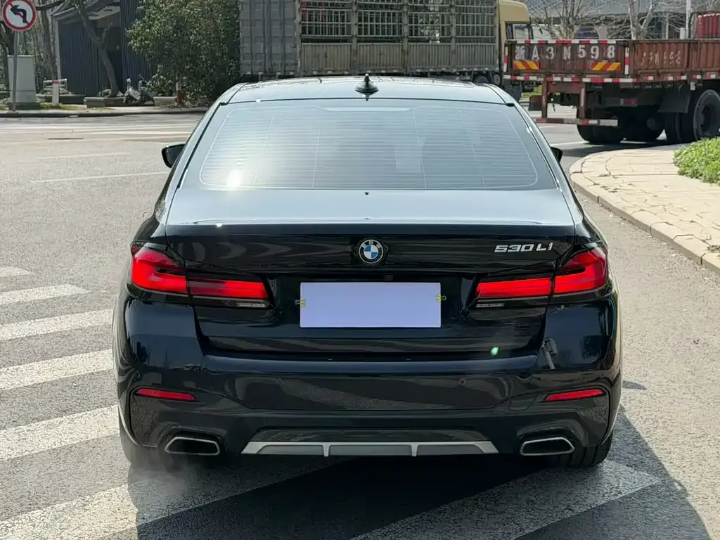 BMW 5 Series 2022 из CN, фото 4