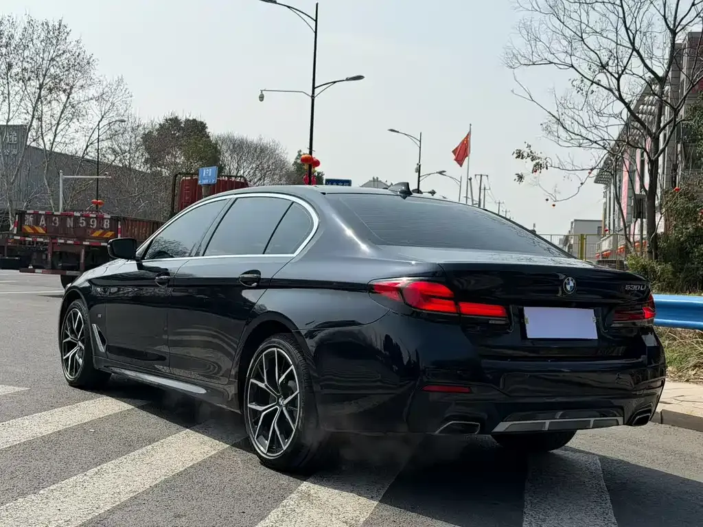BMW 5 Series 2022 из CN, фото 3
