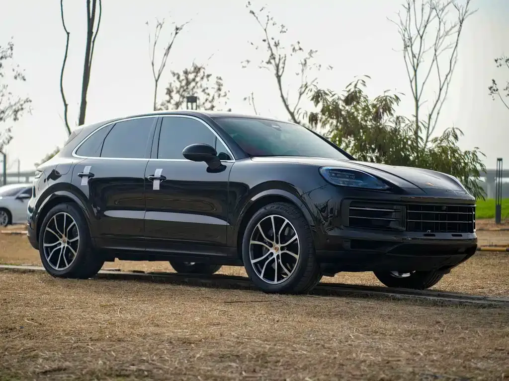 Porsche Cayenne — фото 10