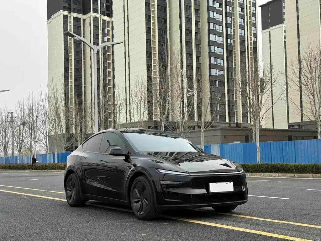 Tesla Model Y — фото 9