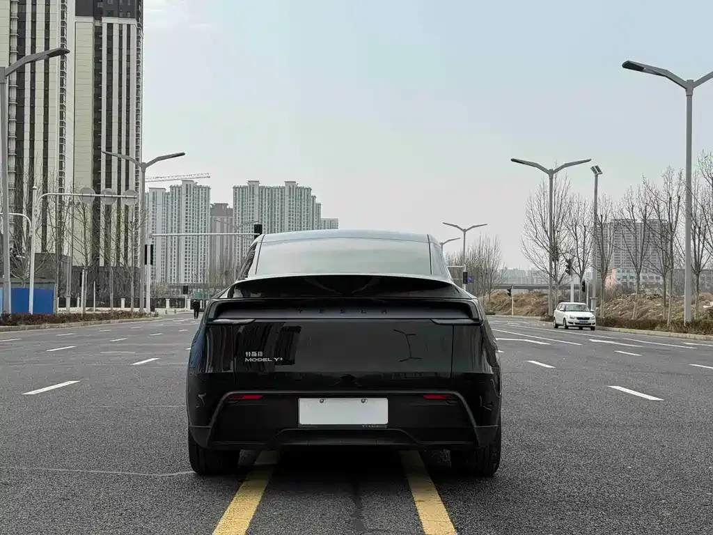 Tesla Model Y — фото 6