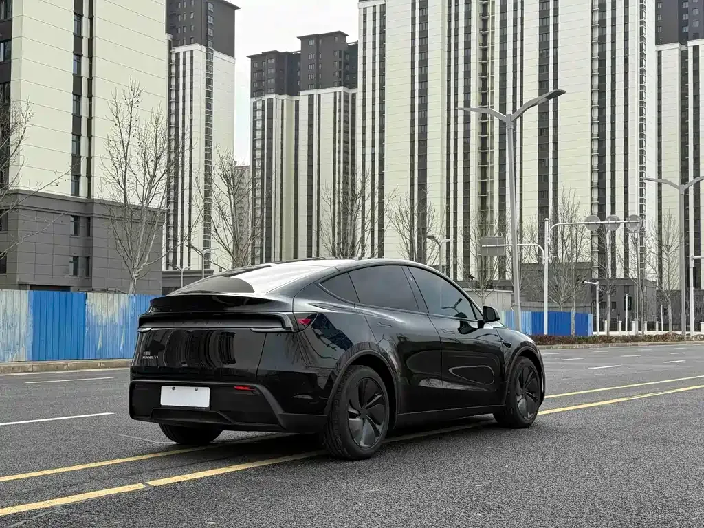 Tesla Model Y — фото 10