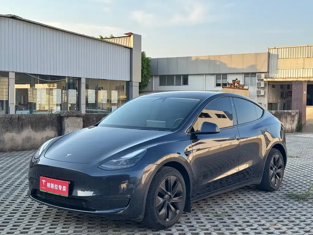 Tesla Model Y — фото 1