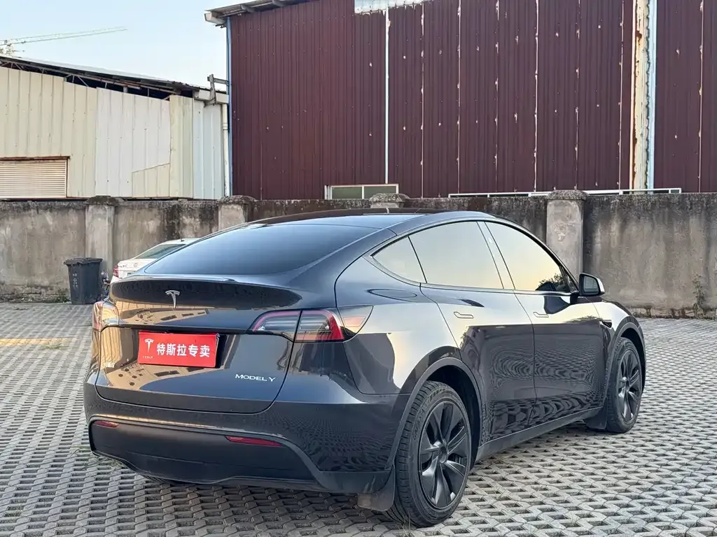 Tesla Model Y — фото 6