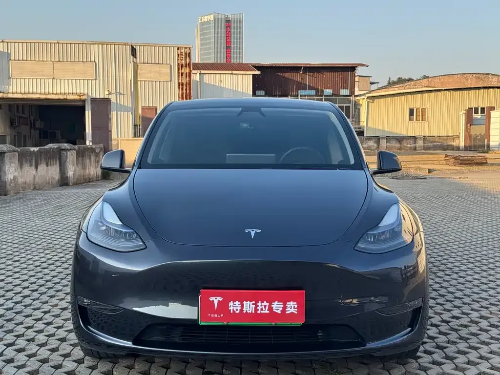 Tesla Model Y — фото 3