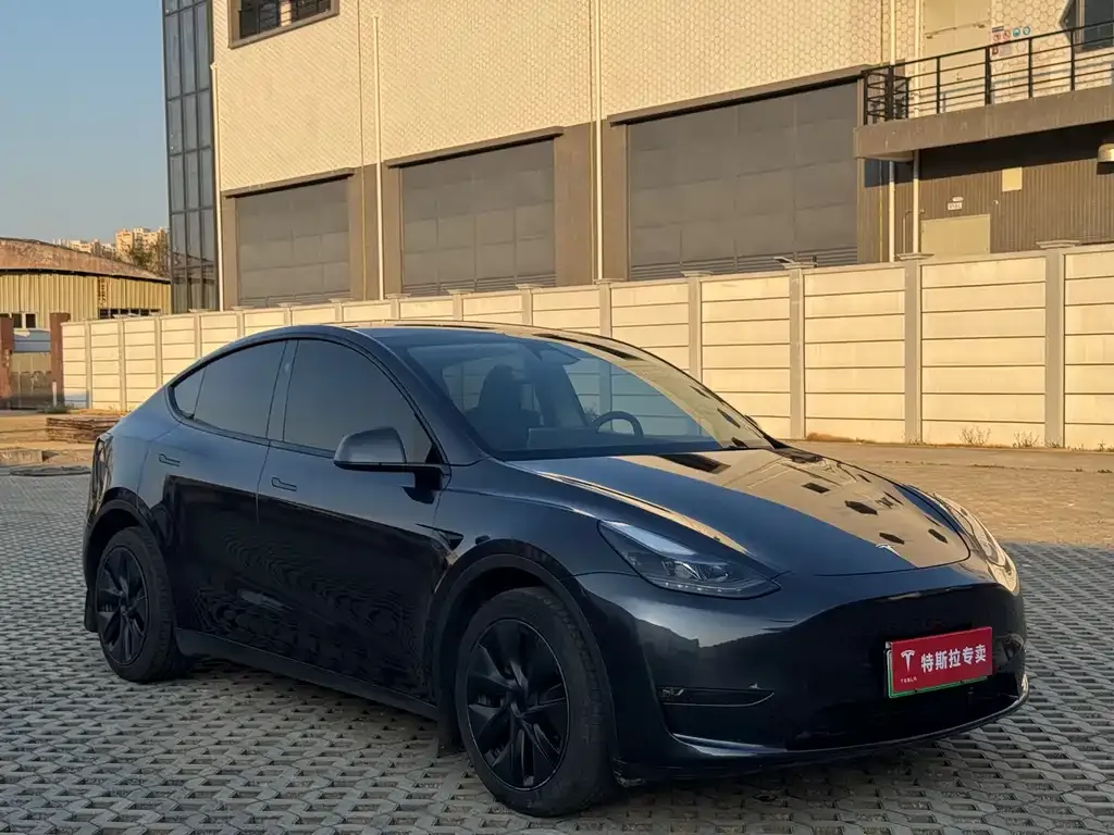 Tesla Model Y — фото 10