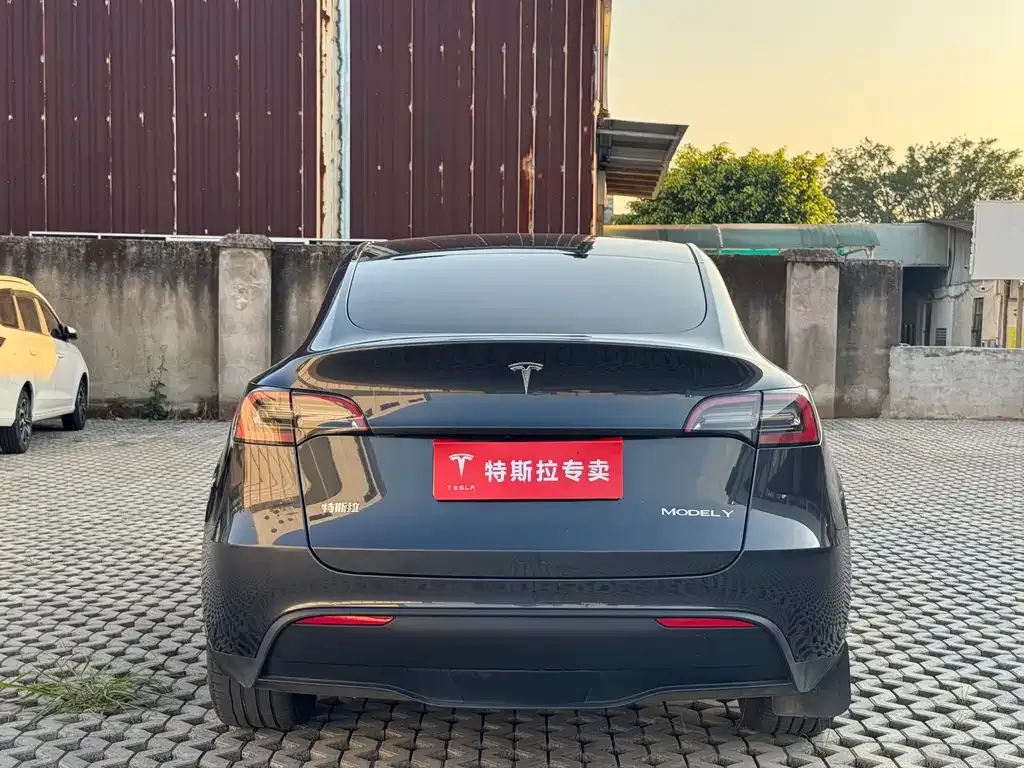 Tesla Model Y — фото 9
