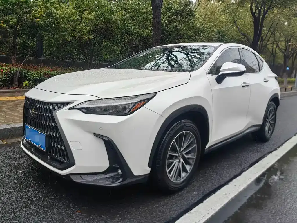 Lexus NX 2025 из CN, фото 1