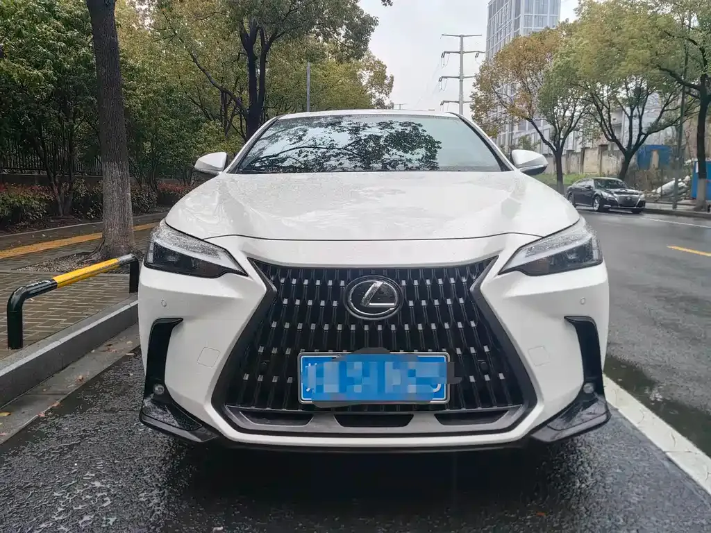 Lexus NX 2025 из CN, фото 7