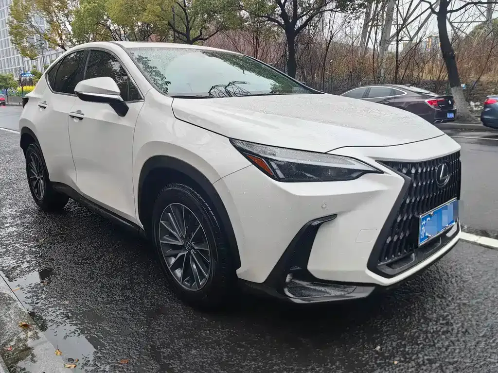 Lexus NX 2025 из CN, фото 4