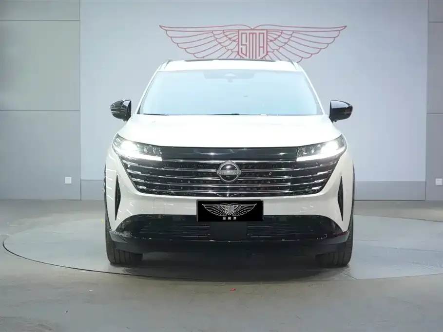 Nissan Teramont 2024 из CN, фото 6