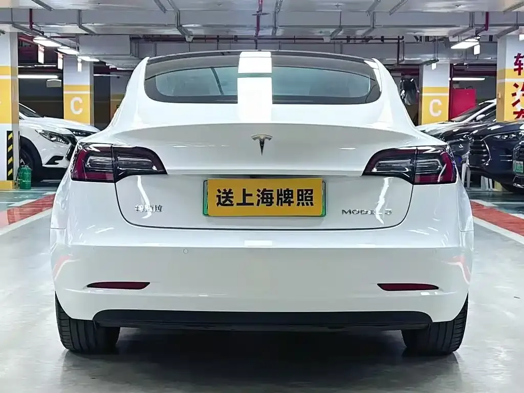 Tesla Model 3 2021 из CN, фото 9