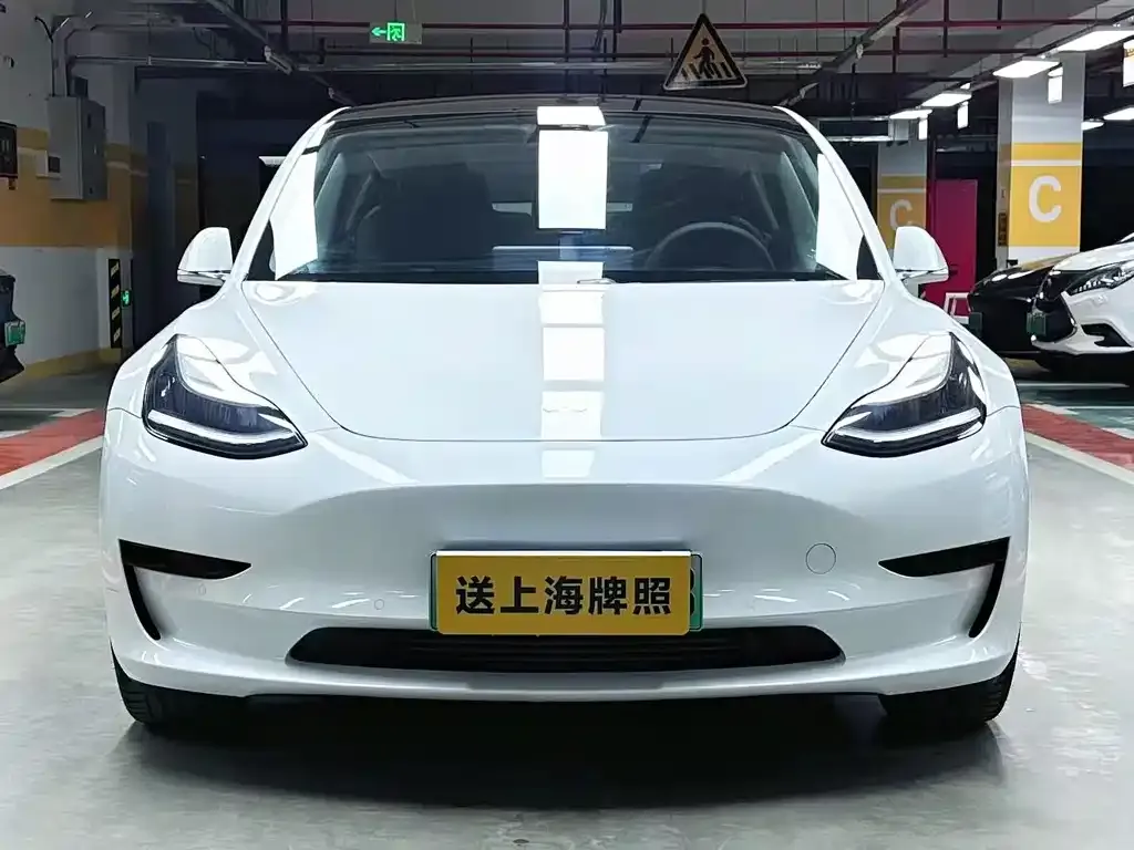 Tesla Model 3 2021 из CN, фото 4