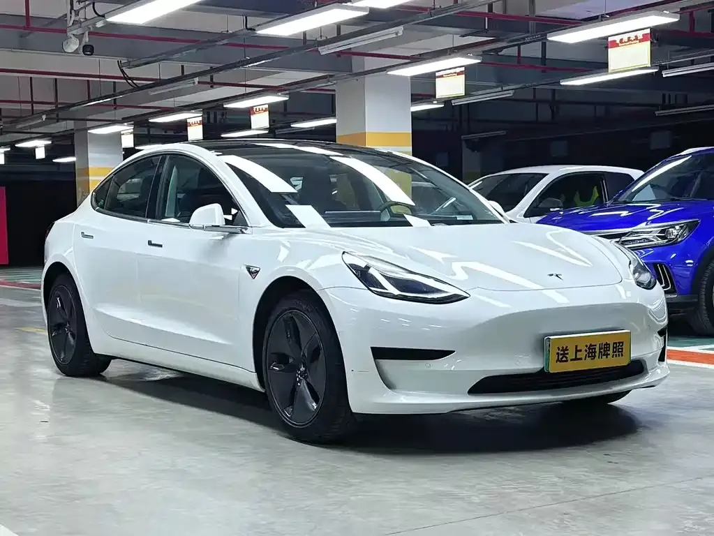 Tesla Model 3 2021 из CN, фото 2