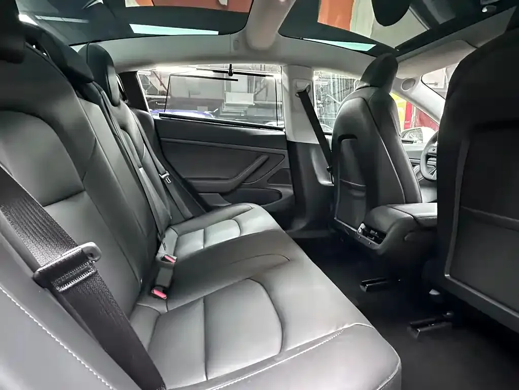 Tesla Model 3 2021 из CN, фото 3