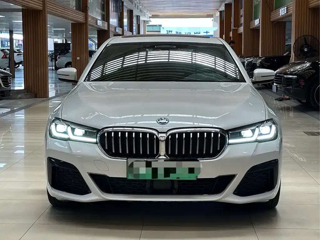 BMW 5 Series New Energy 2022 из CN, фото 4