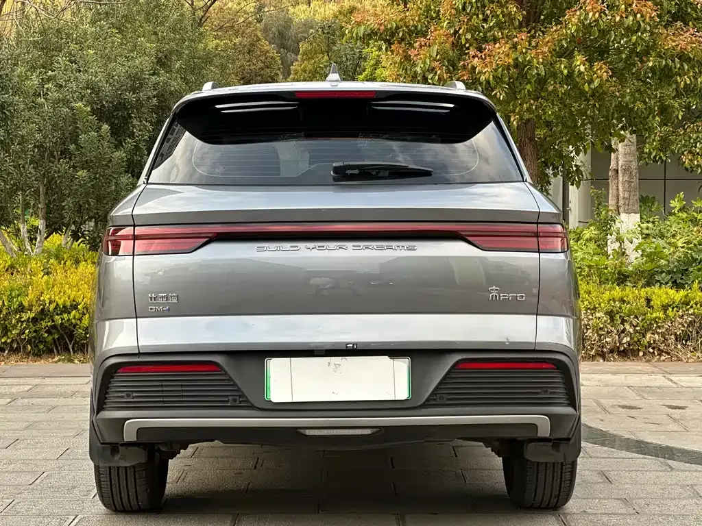 BYD Pro New Energy — фото 3
