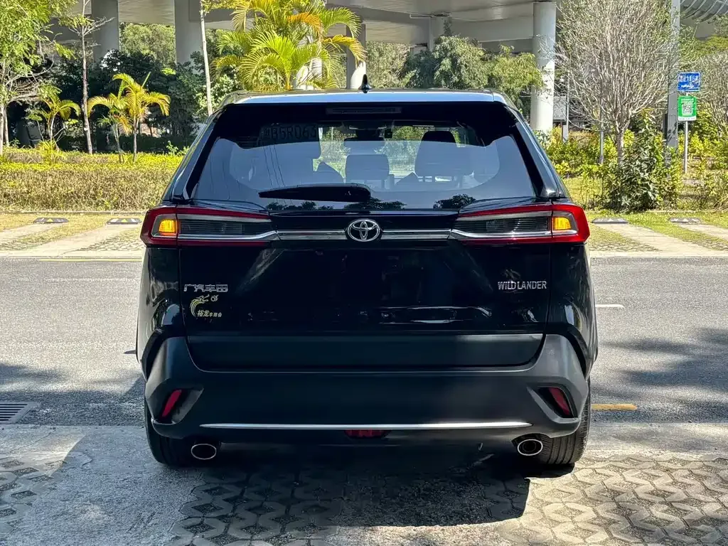Toyota Wildlander 2024 из CN, фото 6