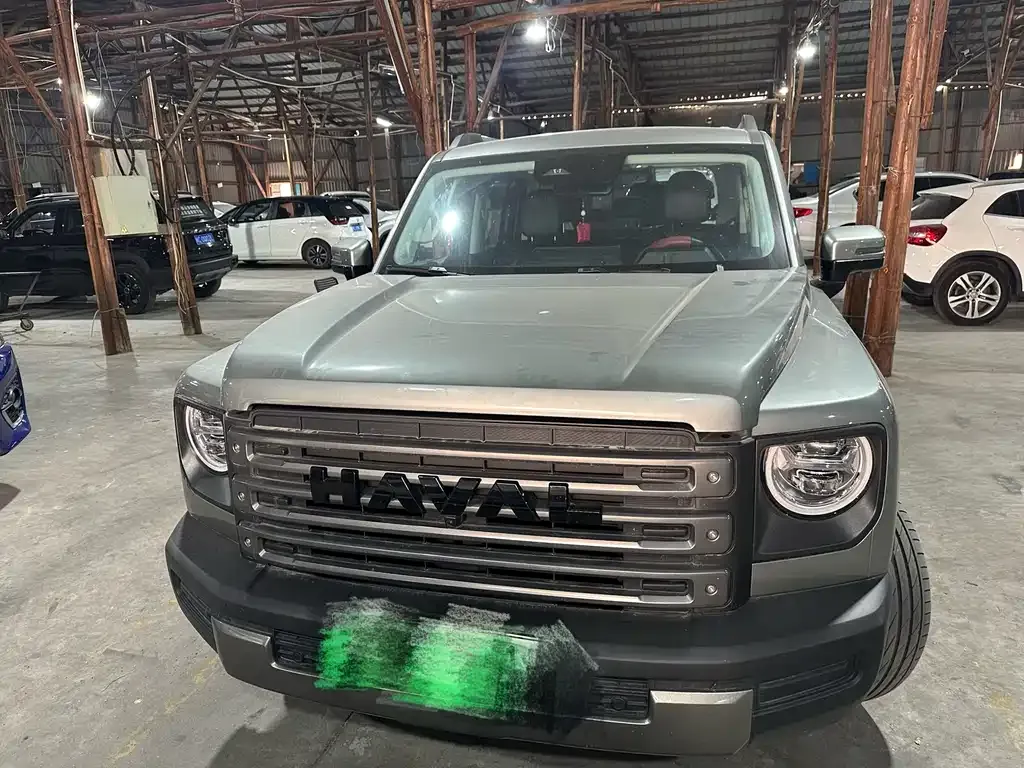 Haval Menglong New Energy 2024 из CN, фото 7