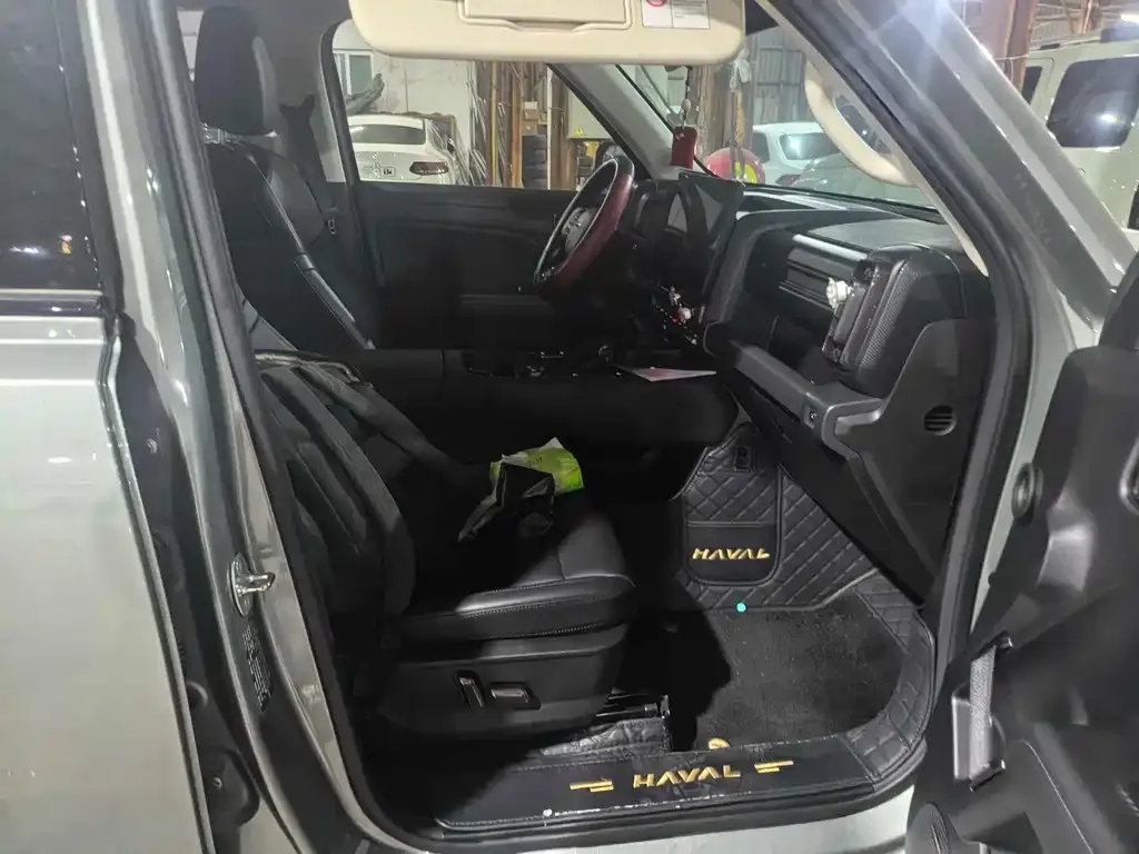 Haval Menglong New Energy 2024 из CN, фото 3