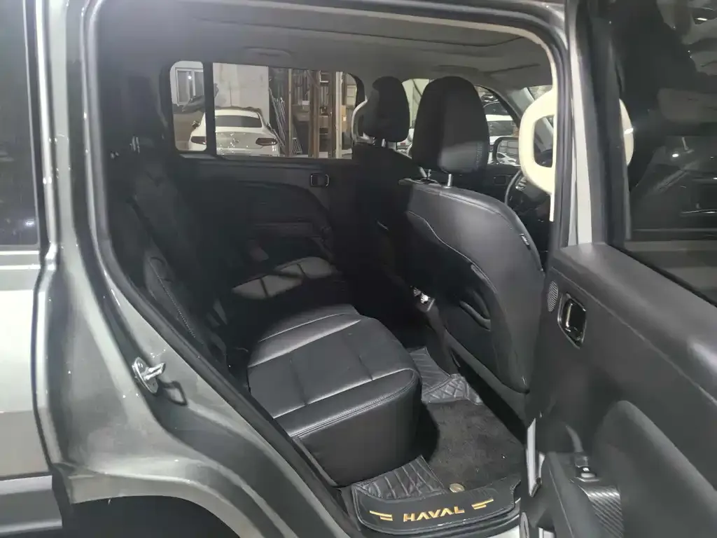 Haval Menglong New Energy 2024 из CN, фото 2
