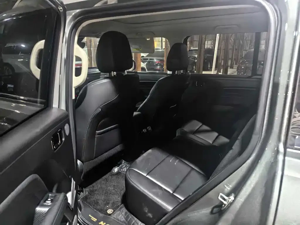 Haval Menglong New Energy 2024 из CN, фото 10