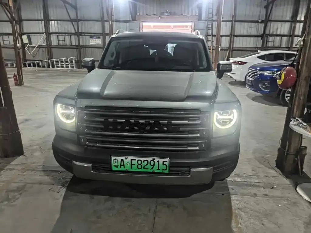 Haval Menglong New Energy 2024 из CN, фото 9