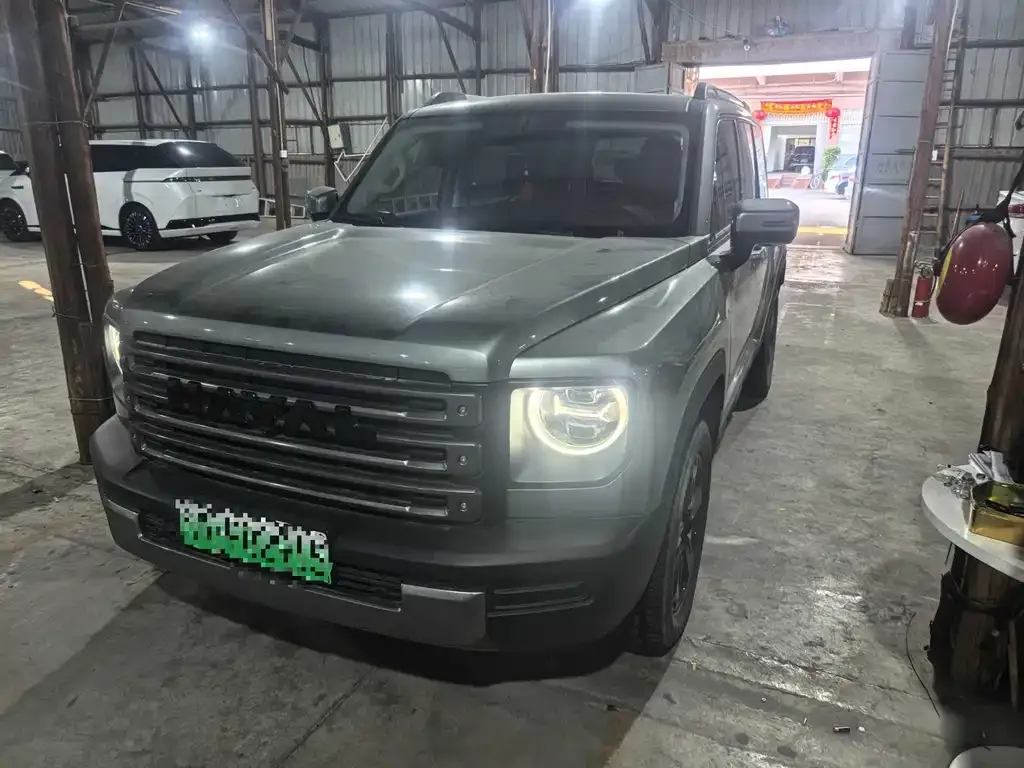 Haval Menglong New Energy 2024 из CN, фото 8