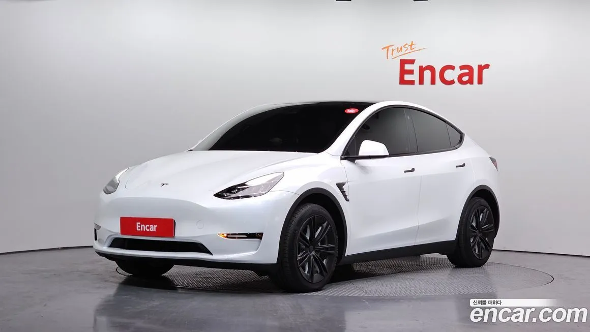 Tesla Model Y Long Range AWD