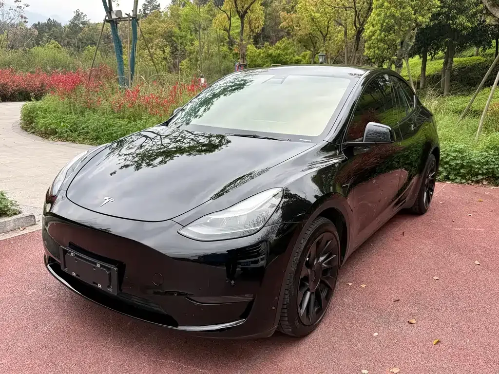 Tesla Model Y — фото 1