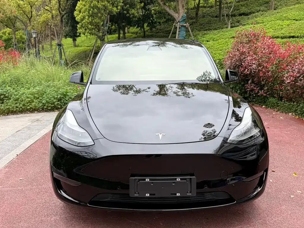 Tesla Model Y — фото 7