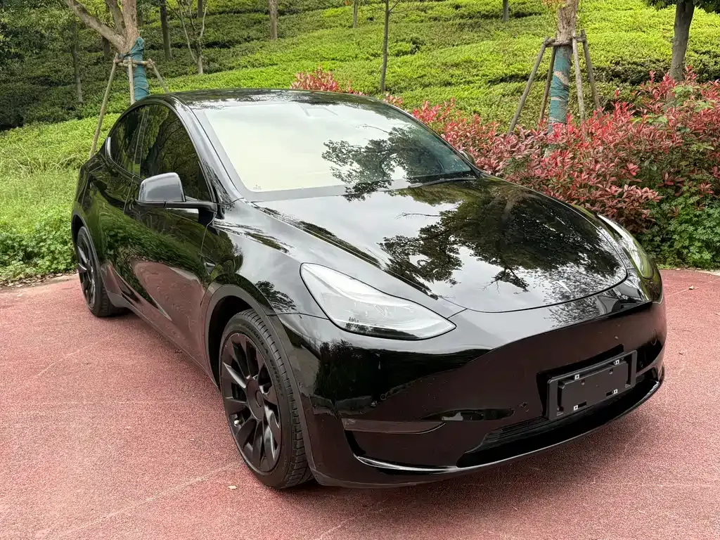Tesla Model Y — фото 8