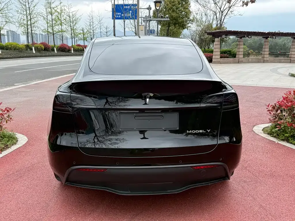 Tesla Model Y — фото 9