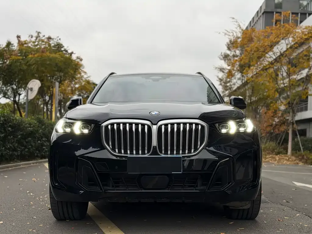 BMW X5 2024 из CN, фото 5