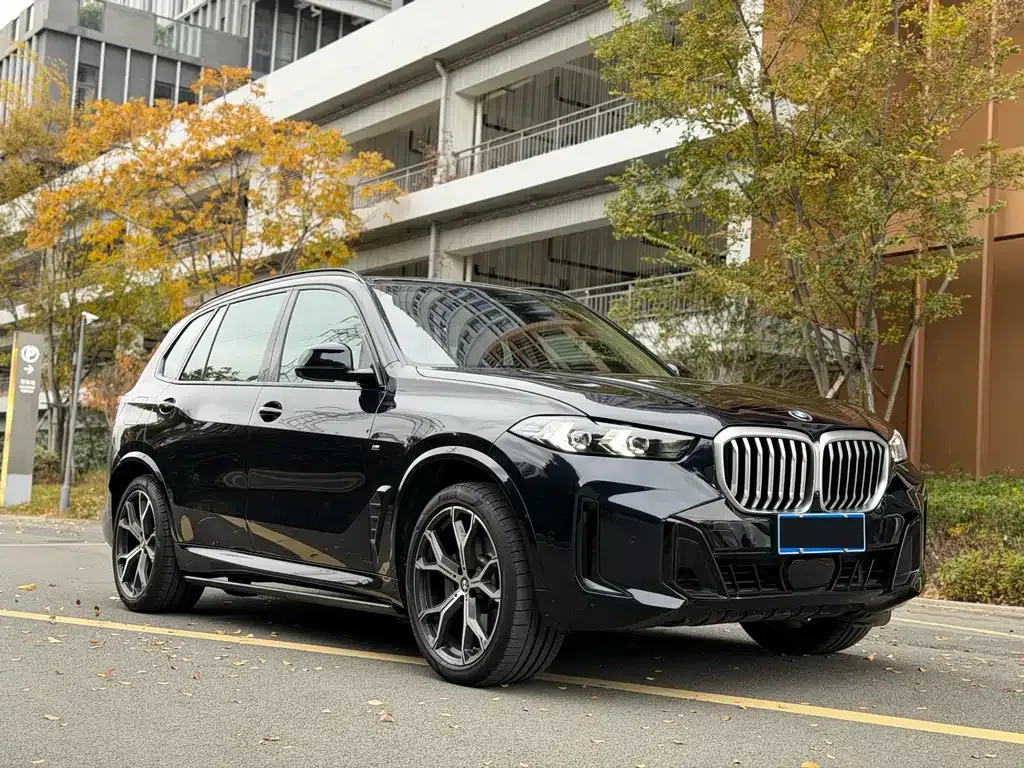 BMW X5 2024 из CN, фото 9