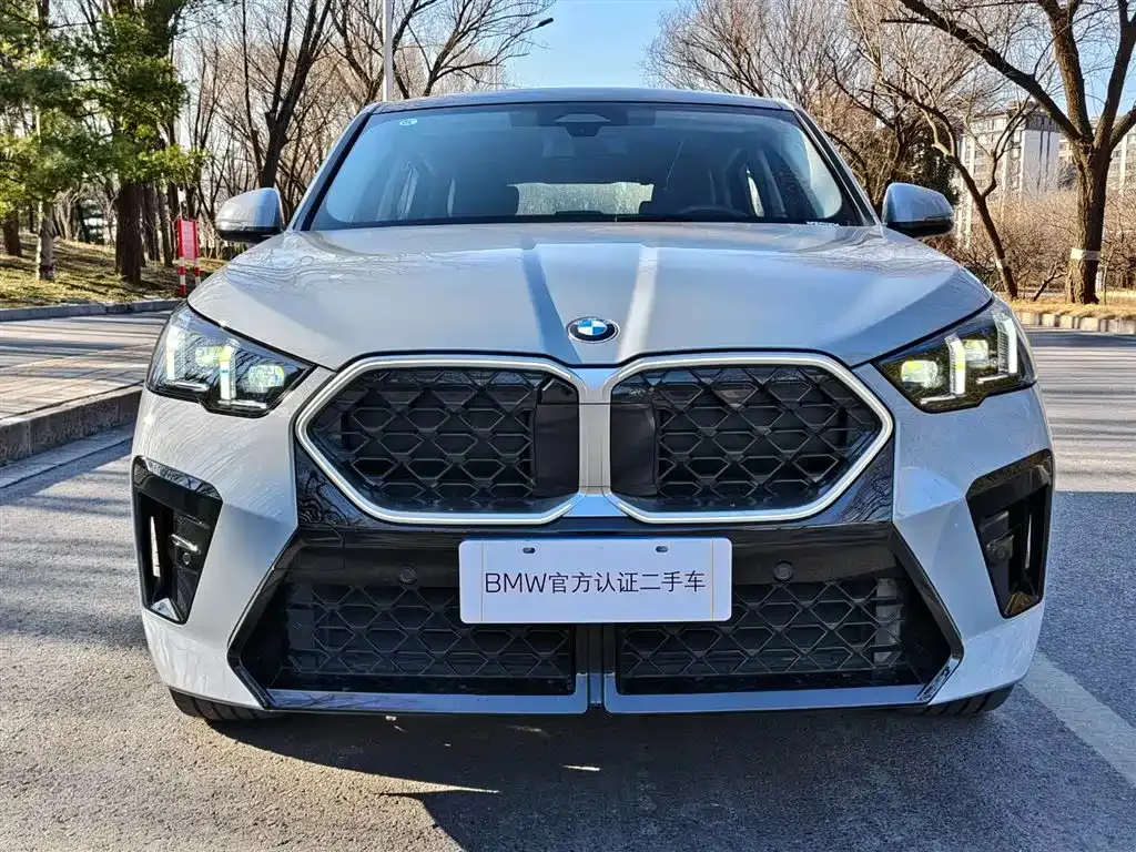 BMW X2 (Import) 2025 из CN, фото 9
