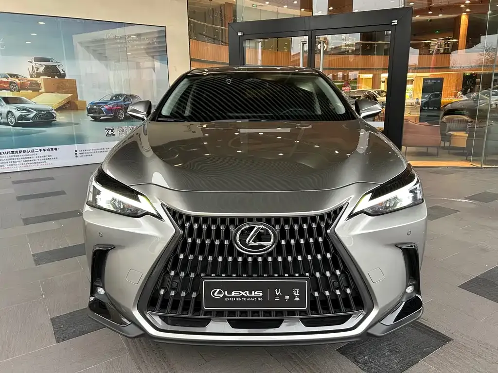 Lexus NX — фото 10