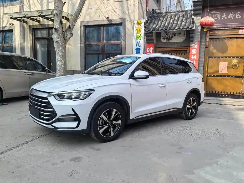 BYD Pro New Energy — фото 1