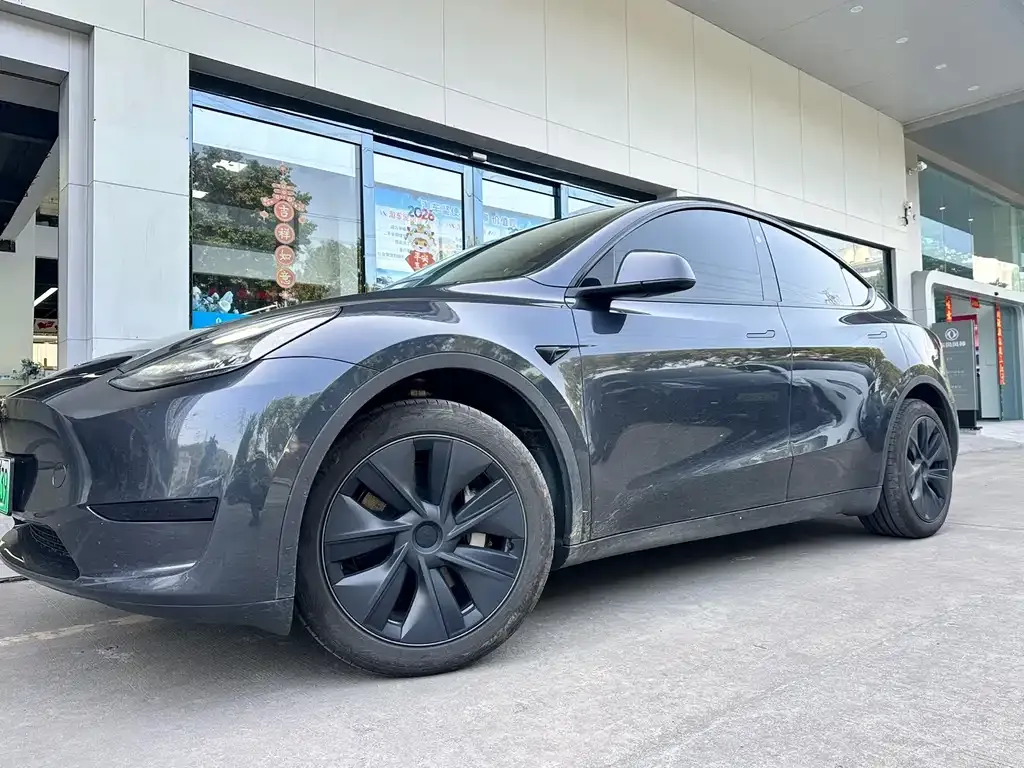 Tesla Model Y 2024 из CN, фото 6