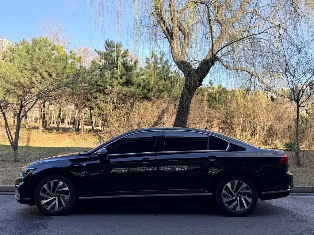 Volkswagen Magotan GTE PHEV 2024 из CN, фото 10
