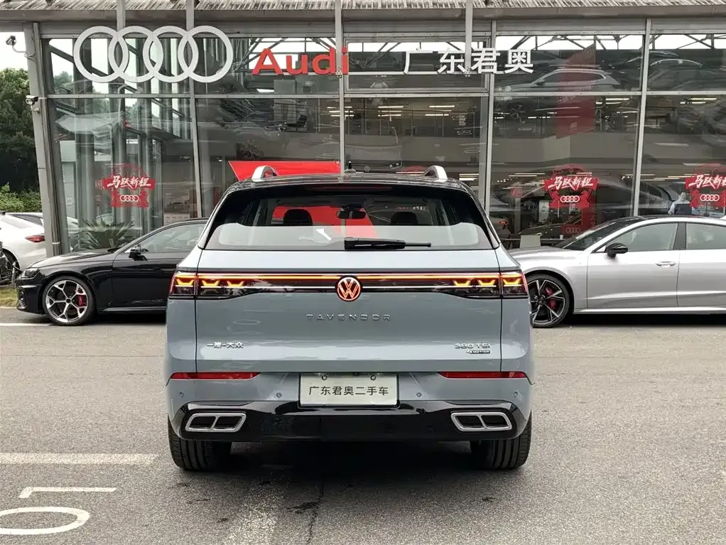 Volkswagen Tavendor 2023 из CN, фото 6