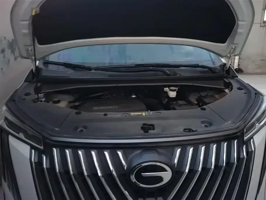 GAC Motor Trumpchi M8 2023 из CN, фото 5