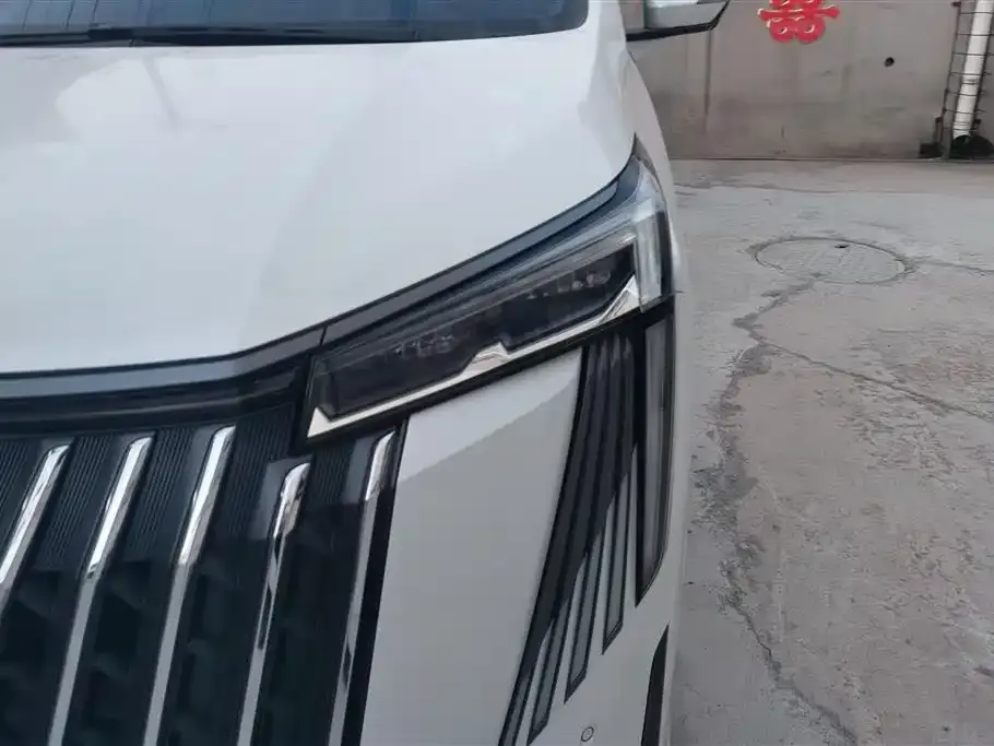 GAC Motor Trumpchi M8 2023 из CN, фото 4