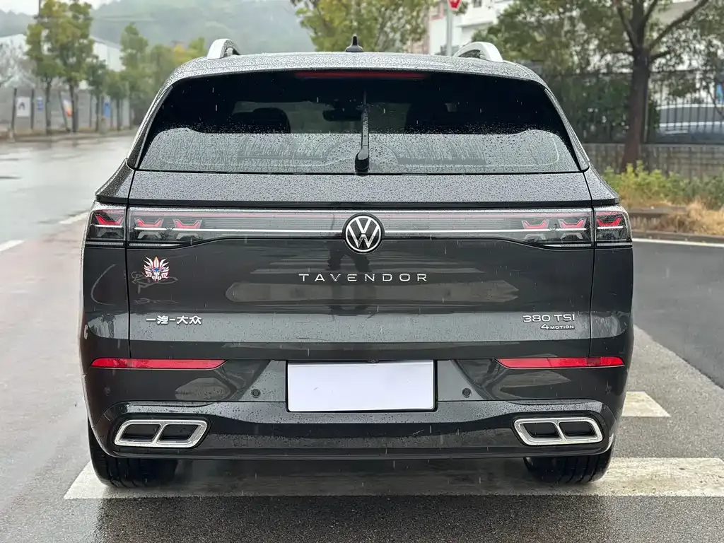 Volkswagen Tavendor 2024 из CN, фото 4