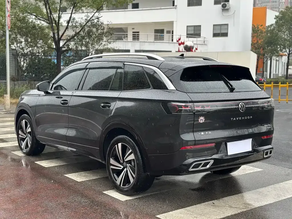 Volkswagen Tavendor 2024 из CN, фото 9