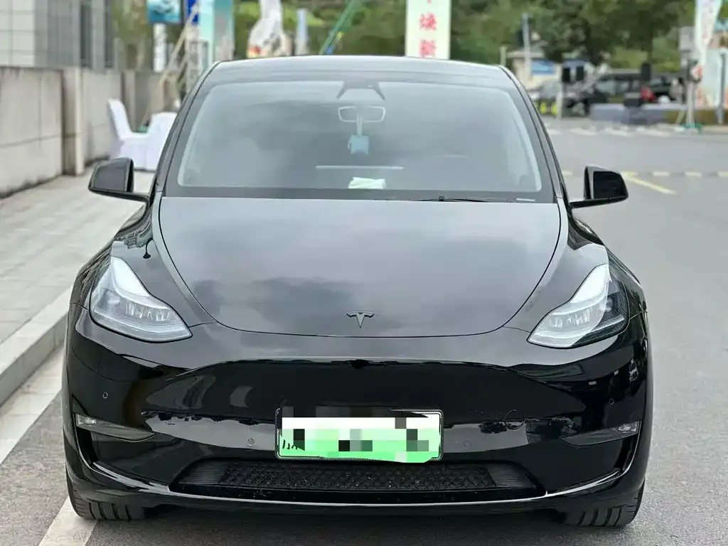 Tesla Model Y — фото 2