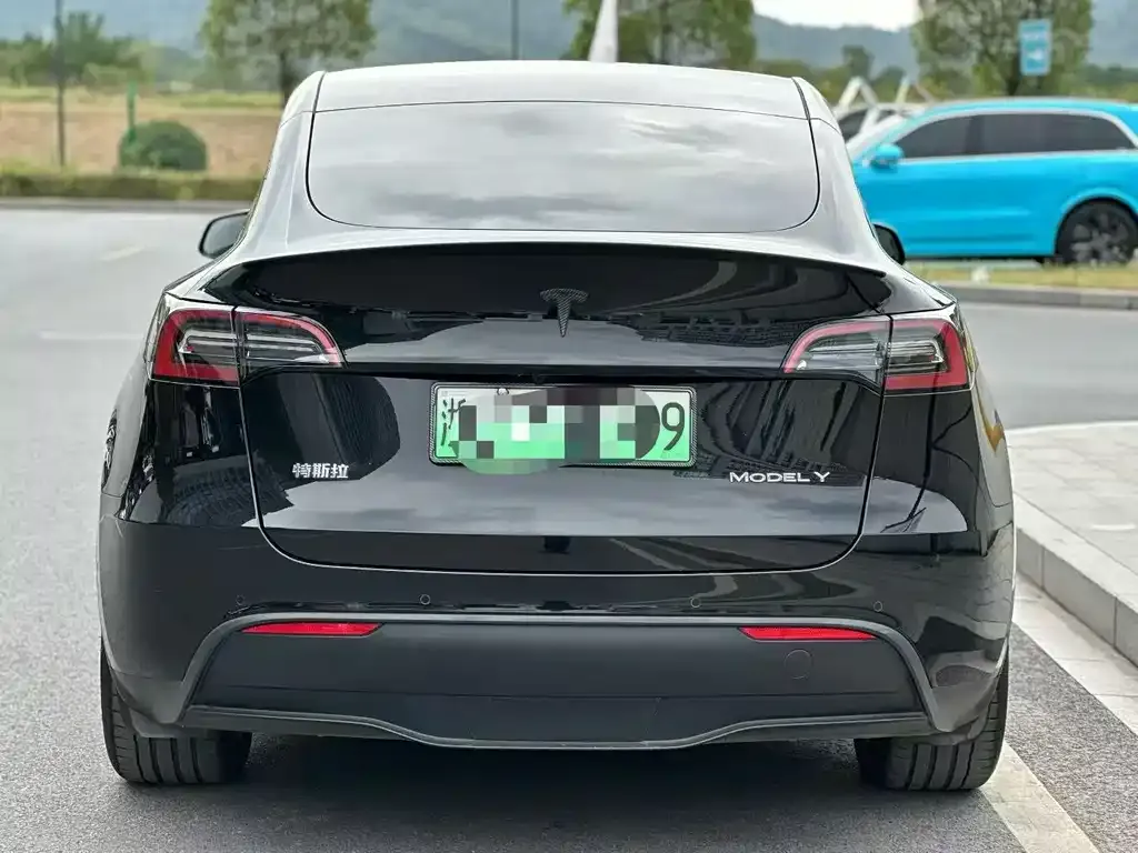 Tesla Model Y — фото 3