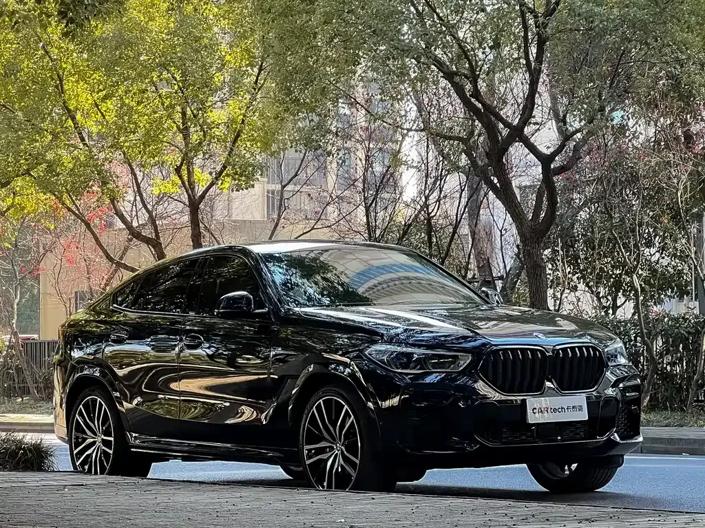 BMW X6 — фото 7