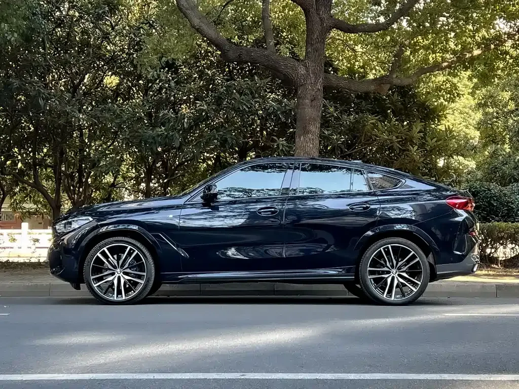 BMW X6 — фото 5