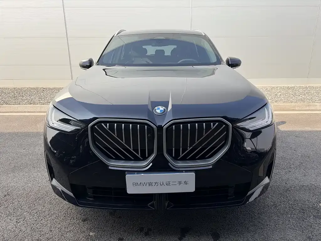 BMW X3 2025 из CN, фото 6
